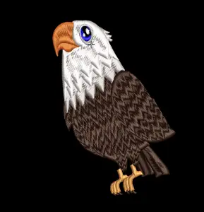 Eagle embroidered